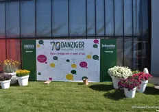 Danziger viert haar 70ste verjaardag dit jaar.